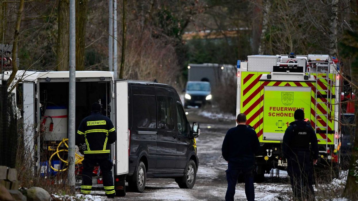 Reino Unido prohíbe la importación de ganado alemán ante brote de fiebre aftosa. AFP.