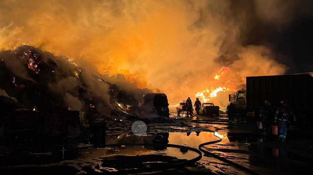 Rescatistas atienden incendio en recicladora de la carretera 111 en Querétaro y rescatan a siete perros del predio siniestrado
