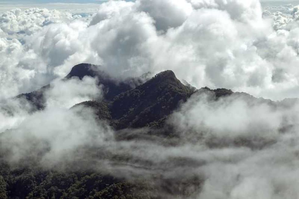 reserva de la biosfera el triunfo paraiso chiapaneco entre la niebla