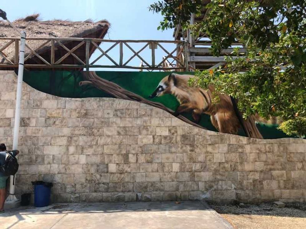reserva ecologica el corchito en yucatan estrena nuevos murales 1
