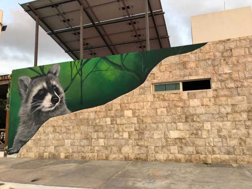reserva ecologica el corchito en yucatan estrena nuevos murales 2