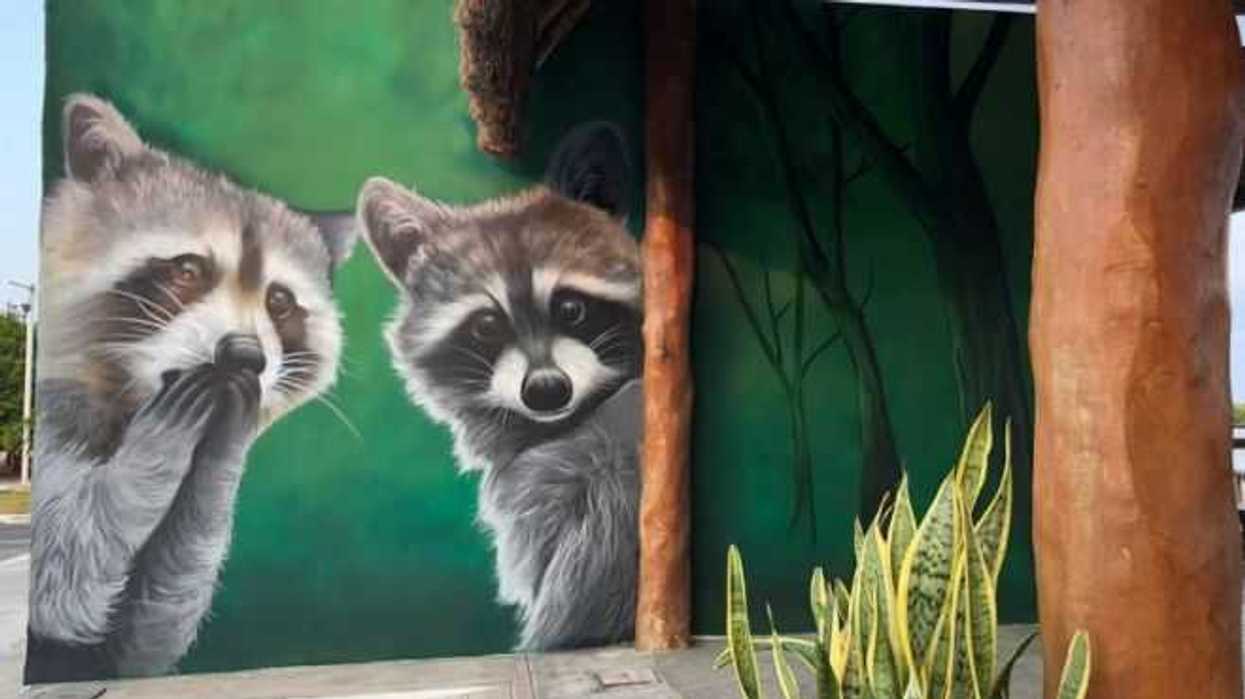 reserva-ecologica-el-corchito-en-yucatan-estrena-nuevos-murales