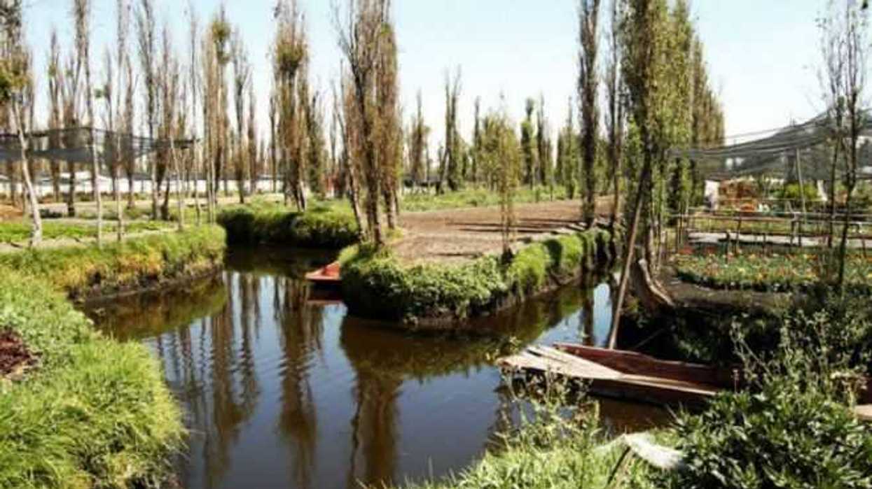 restauran-red-de-canales-y-chinampas-de-tlahuac-y-xochimilco