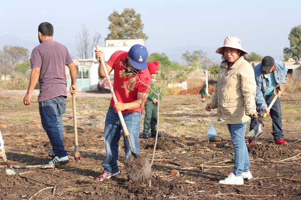 Roberto Cabrera Valencia encabeza jornada de reforestaci\u00f3n con vecinos de Estancia de Bordos en San Juan del R\u00edo