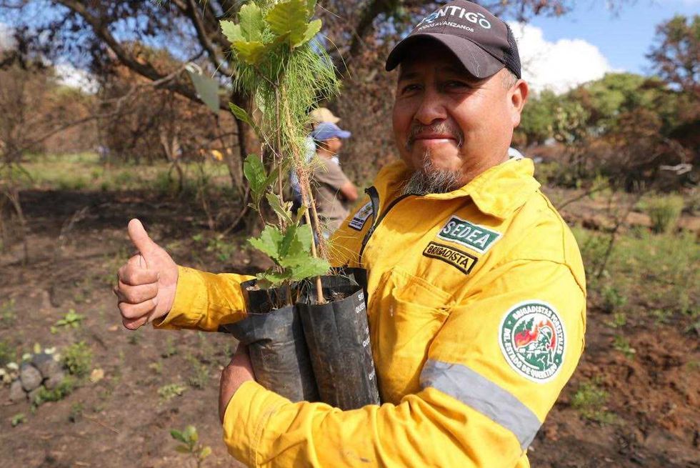 Rosendo Anaya y participantes voluntarios durante jornada de siembra de \u00e1rboles end\u00e9micos en Huimilpan.