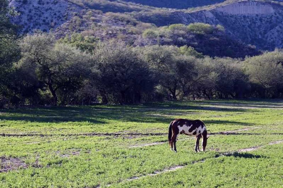 ruta del rio sonora rica en tradiciones y contacto con naturaleza 4