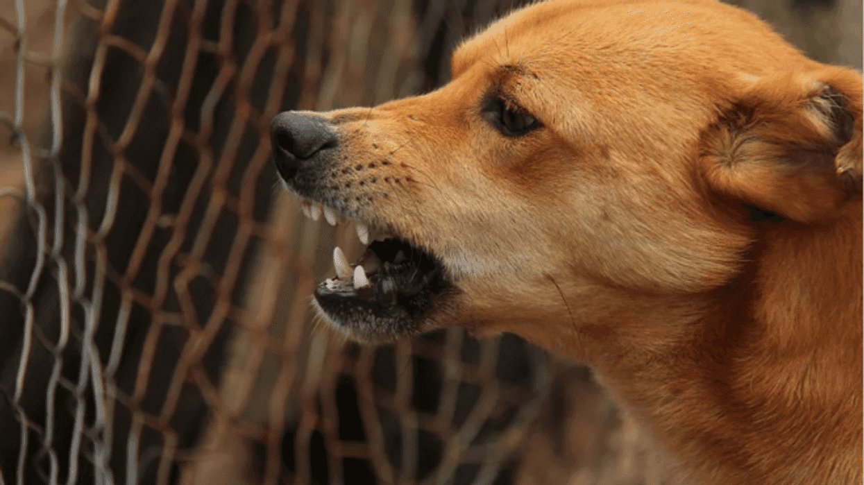 salud-molecula-rabia