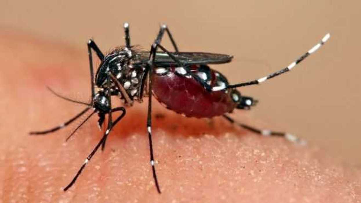 salud-reduce-transmision-de-enfermedades-como-dengue-chikungunya-y-zika