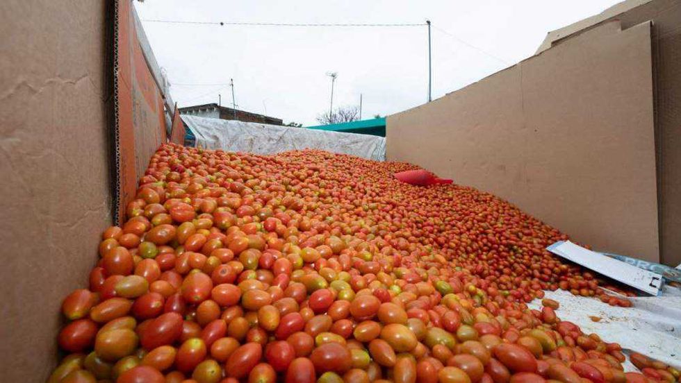 San Juan del Río acerca servicios y productos a bajo costo en jornada comunitaria.