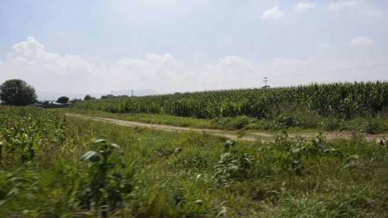 santa-matilde-busca-mantener-actividad-agricola