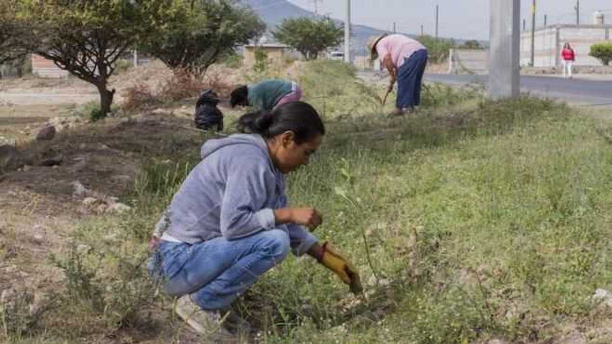 sct-empleo-temporal.JPG-1