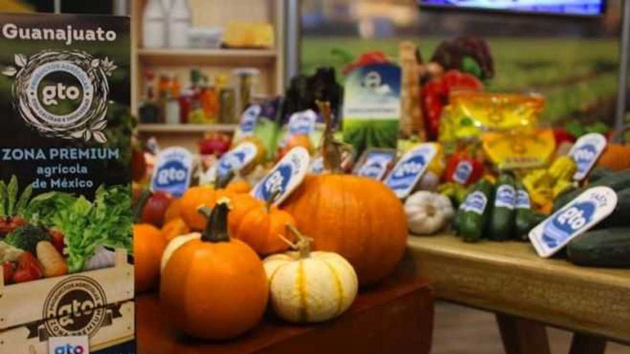 sdayr-garantiza-la-competitividad-hortalizas-granos-guanajuato-2