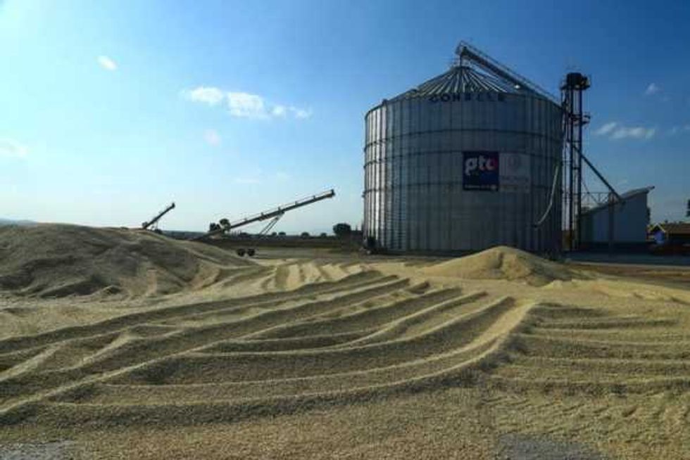 sdayr garantiza la competitividad hortalizas granos guanajuato 3