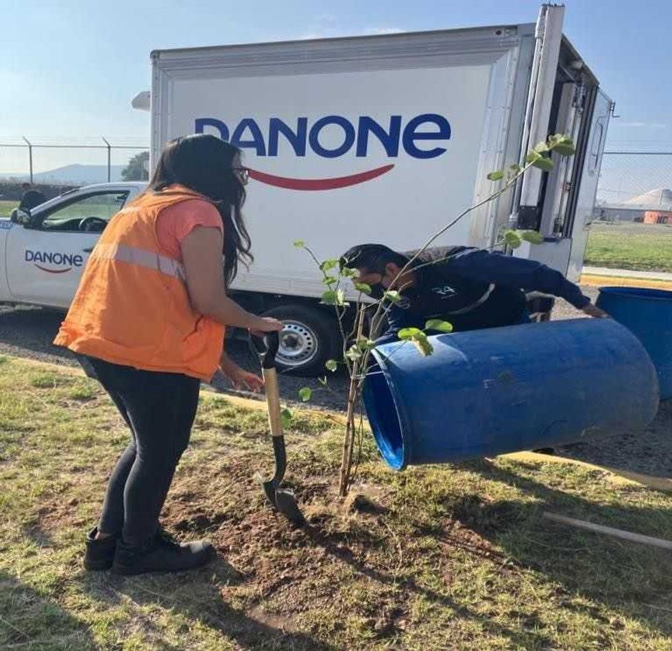 Se suman empresas privadas para reforestar en zonas de San Juan del Río.