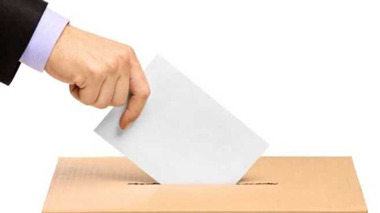 se-triplica-el-registro-para-emitir-voto-chilango