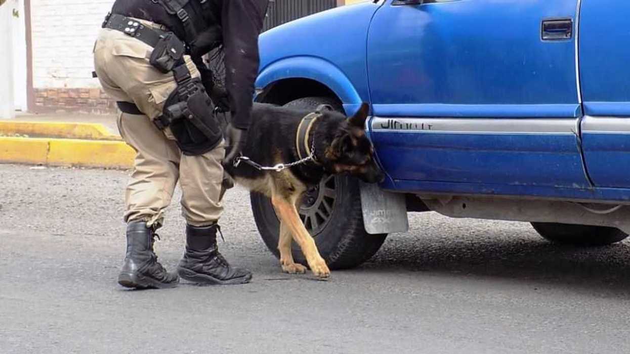 Secretario de Seguridad Pública, Oswaldo Gómez Martínez