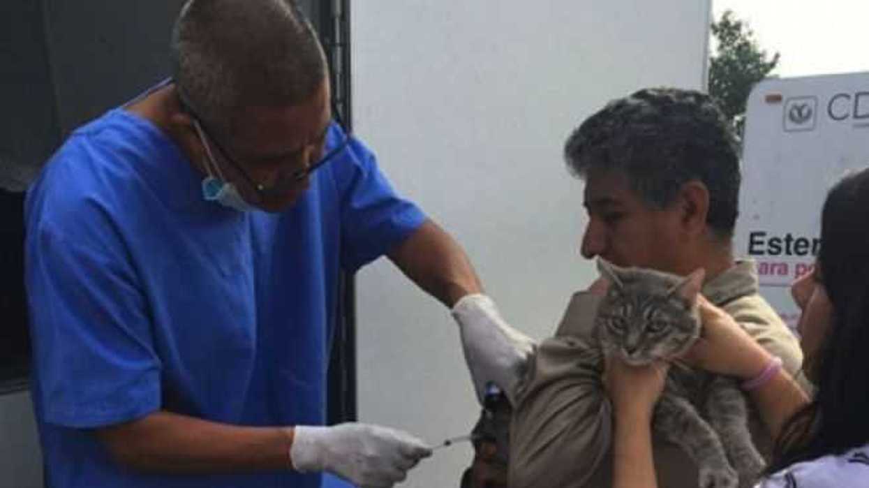 segundo-hospital-veterinario-estara-en-alvaro-obregon