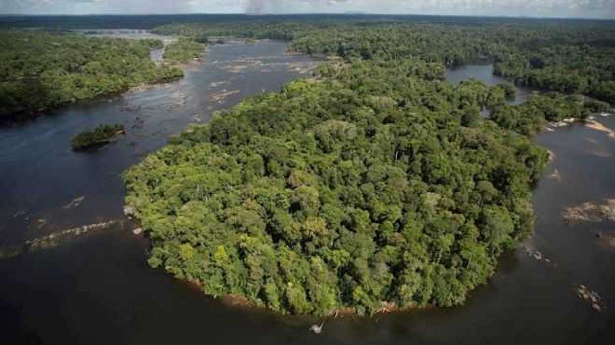 selvas-pueblos-indigenas-efe