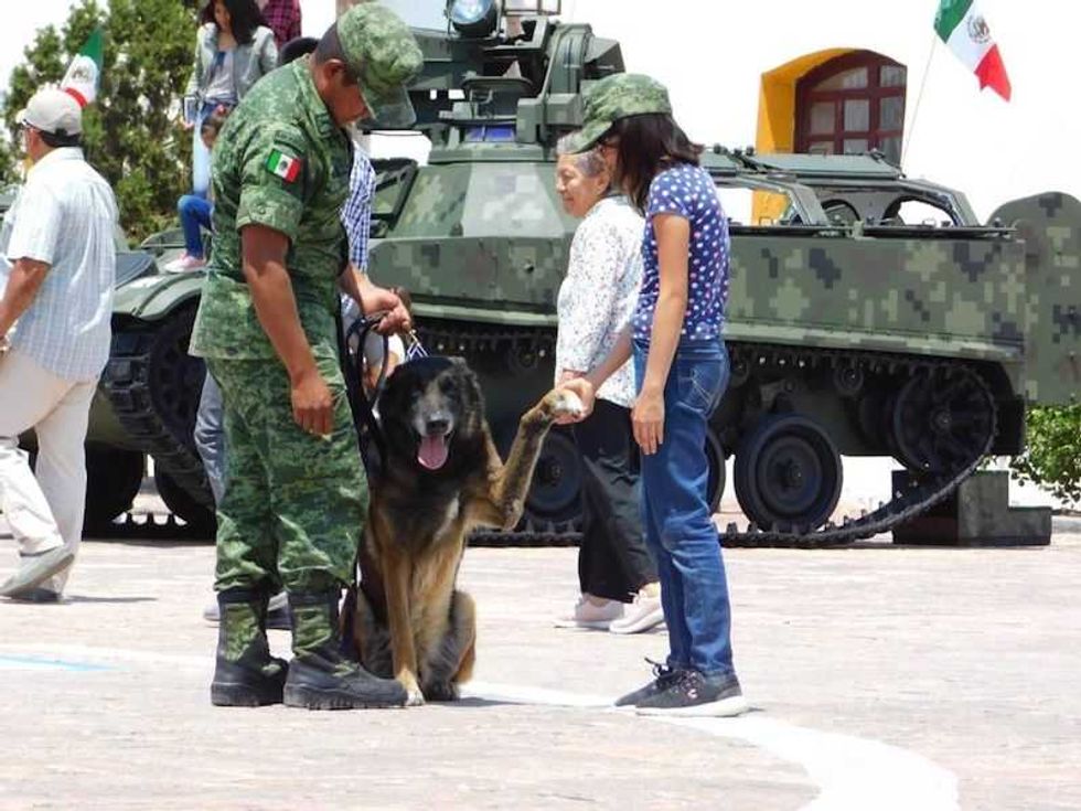 septimo regimiento realizara paseo dominical en ex hacienda la llave 10