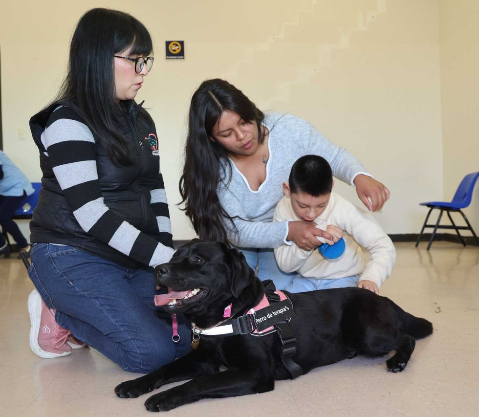 Sesi\u00f3n de caninoterapia para ni\u00f1os con discapacidad en el Centro de Rehabilitaci\u00f3n Integral de Quer\u00e9taro CRIQ 2026
