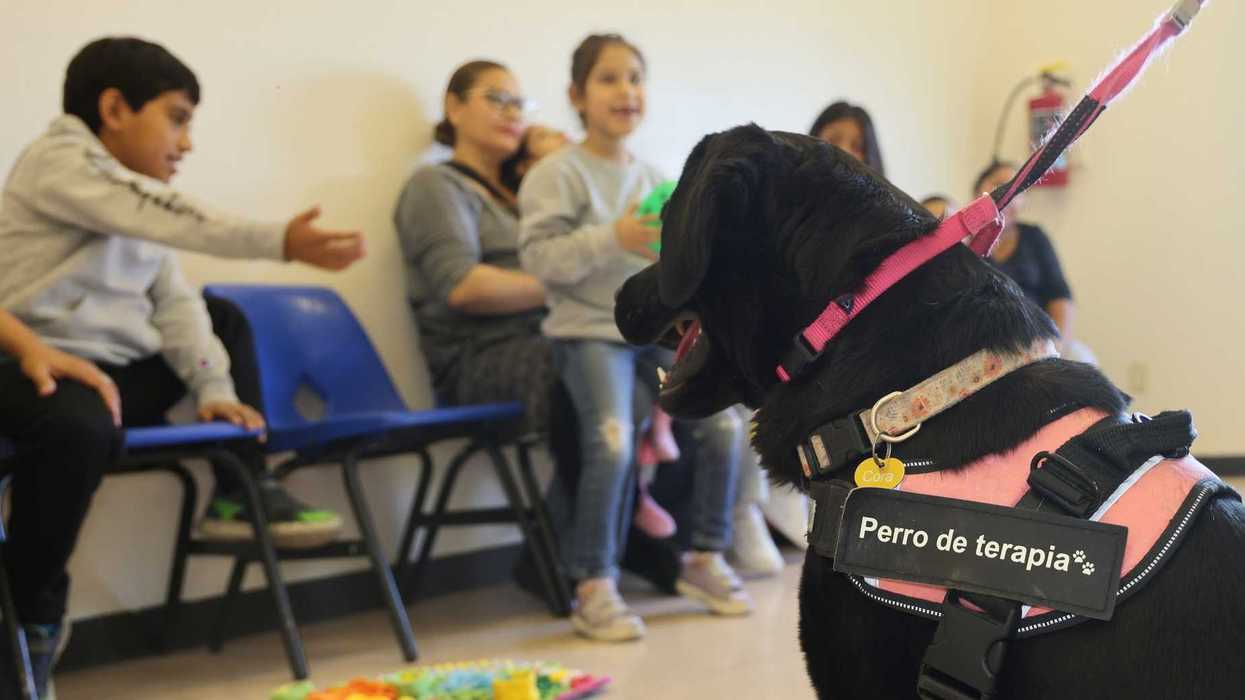 Sesión de caninoterapia para niños con discapacidad en el Centro de Rehabilitación Integral de Querétaro CRIQ 2026