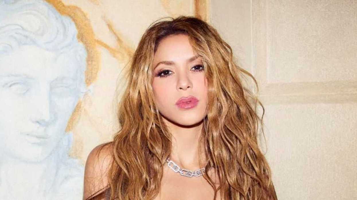Shakira sufrió problema gástrico tras ingerir ceviche llamado “Sobredosis”. Foto: Ilustrativa/ Agencia México.