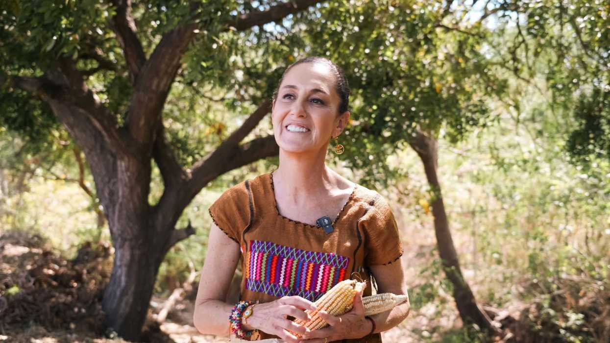 Sheinbaum Pardo abre camino a Félix Salgado Macedonio al informar que la reforma contra el nepotismo será hasta el 2030. Foto: Ilustrativa/ Presidencia de la República.