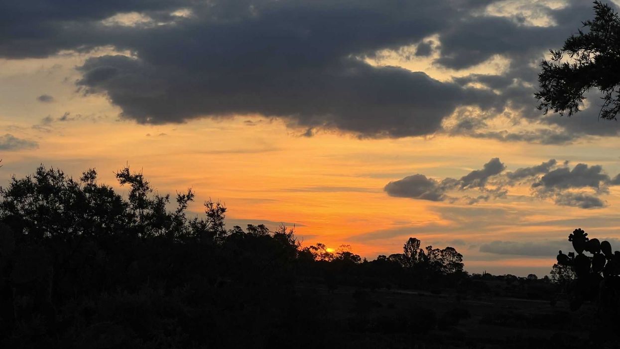 Siluetas al atardecer: Serenidad en Hidalgo.