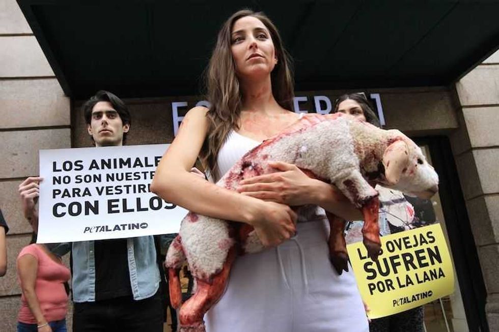 sofia sisniega protesta frente a tienda contra la crueldad animal 1