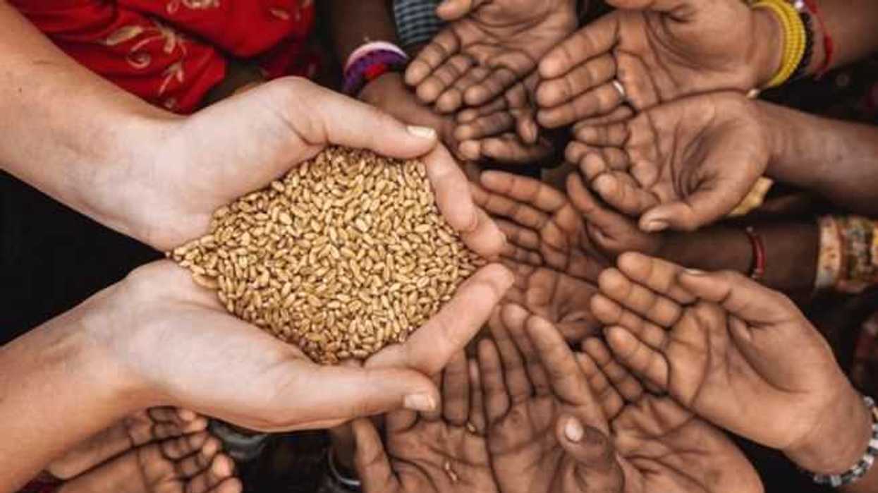 solucionar-crisis-alimentarias