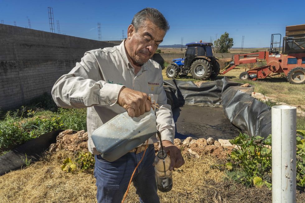 T\u00e9cnico de Agricultura vierte l\u00edquido desde garraf\u00f3n hacia botella para toma de muestra, con tractor de fondo en predio