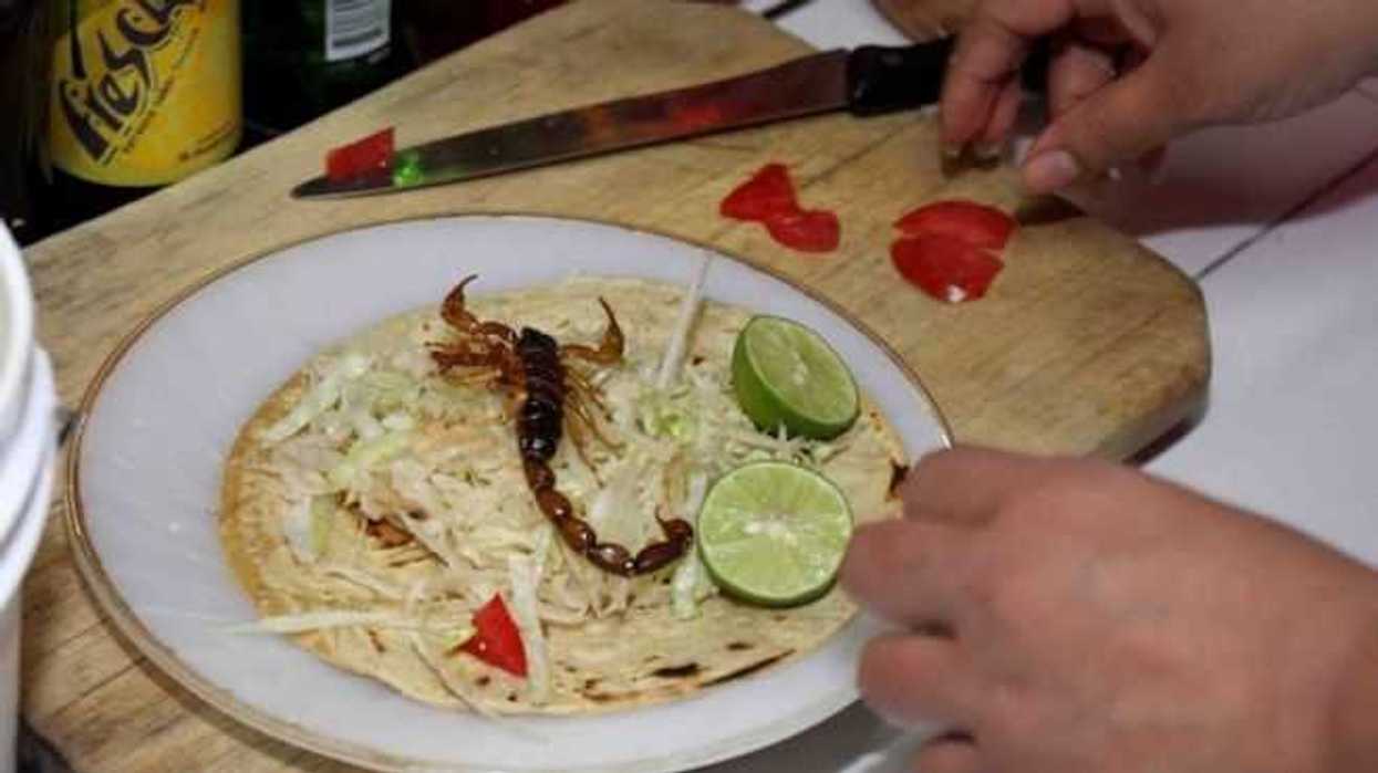 tacos de alacran_durango_01