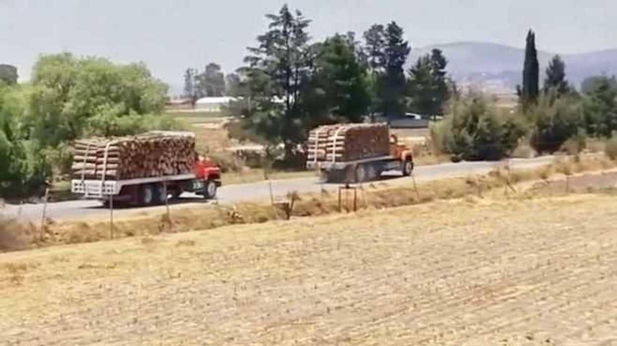 tala-clandestina-amealco