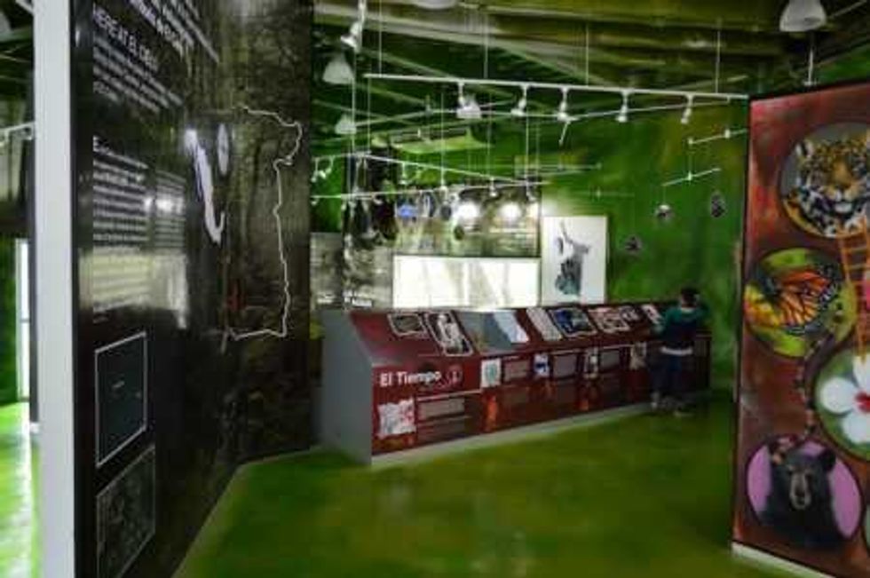 tamaulipas-biosfera-el-cielo-02