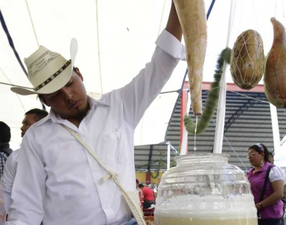 tarimbaro capital michoacana del pulque 6