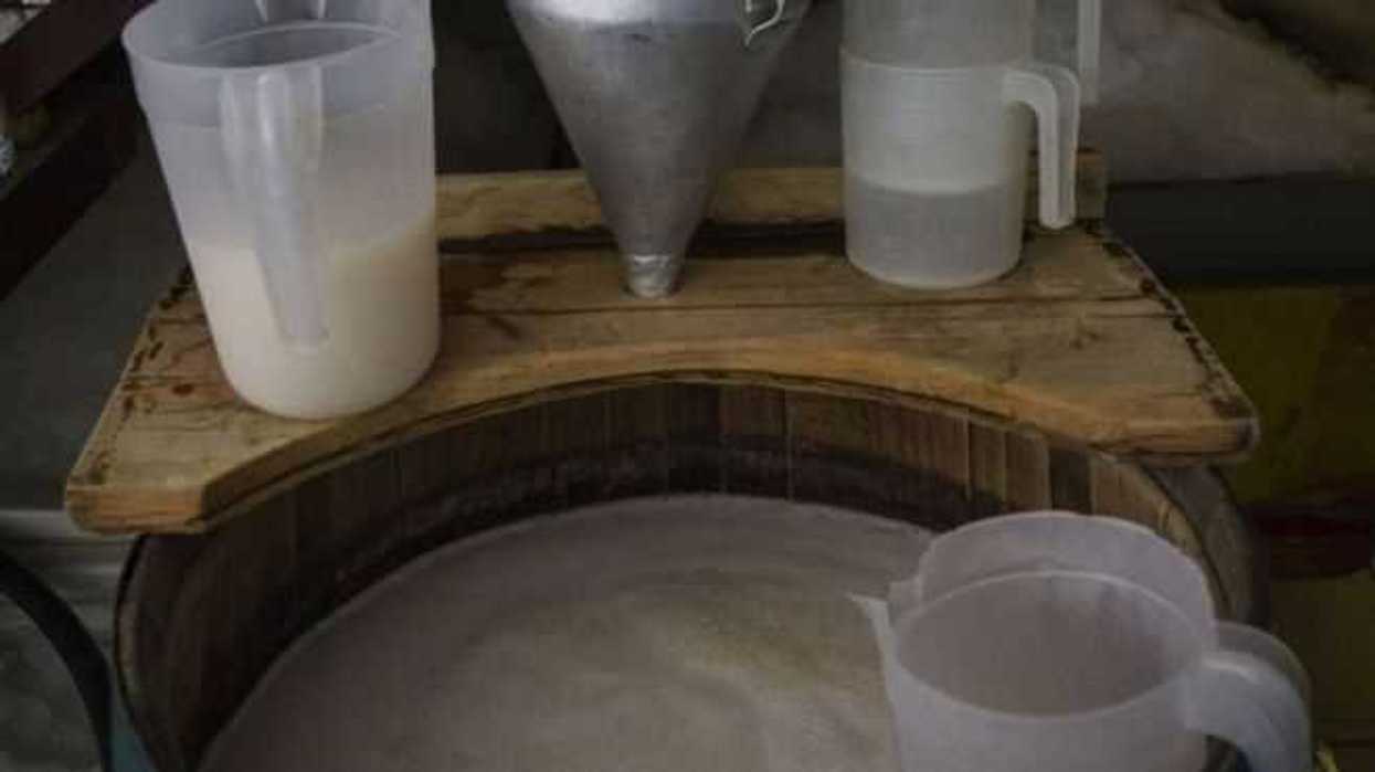 tarimbaro-capital-michoacana-del-pulque