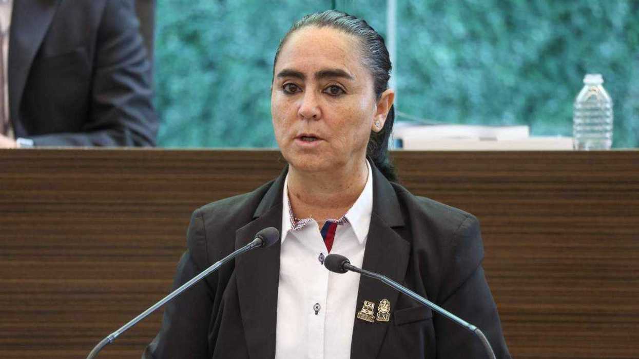 Teresita Calzada Rovirosa, presidenta de la Comisión de Seguridad Pública y Protección Civil de la LXI Legislatura.