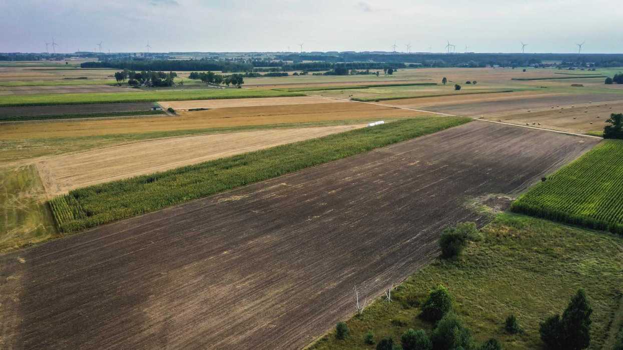 Tierras ejidales en San Juan del Río y Corregidora bajo presión por venta y desarrollo inmobiliario en Querétaro