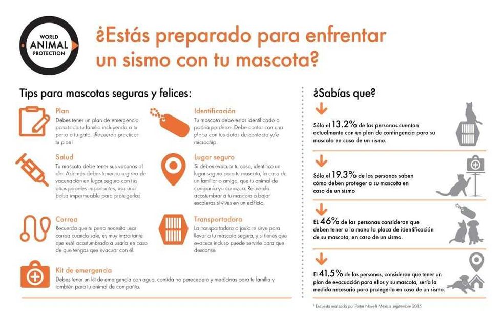 Tips para enfrentar un sismo con tu mascota. FOTO/ESPECIAL