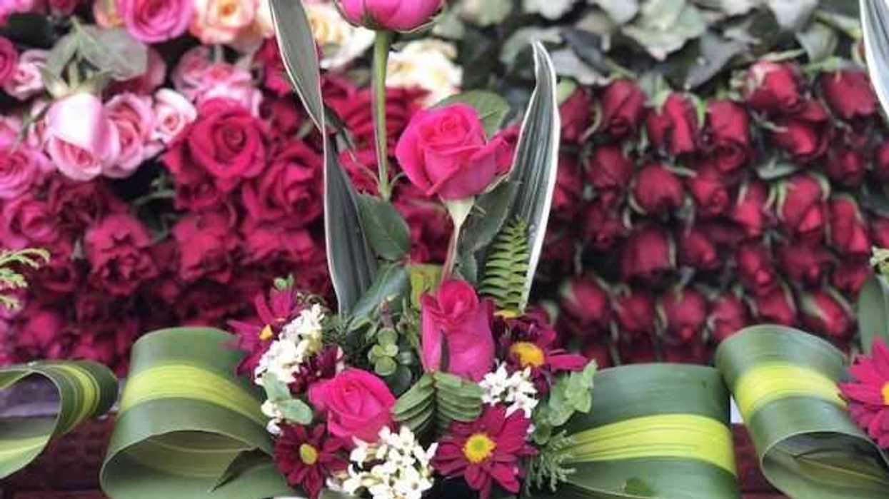 tolerancia-vendedores-de-rosa-por-dia-de-san-valentin1