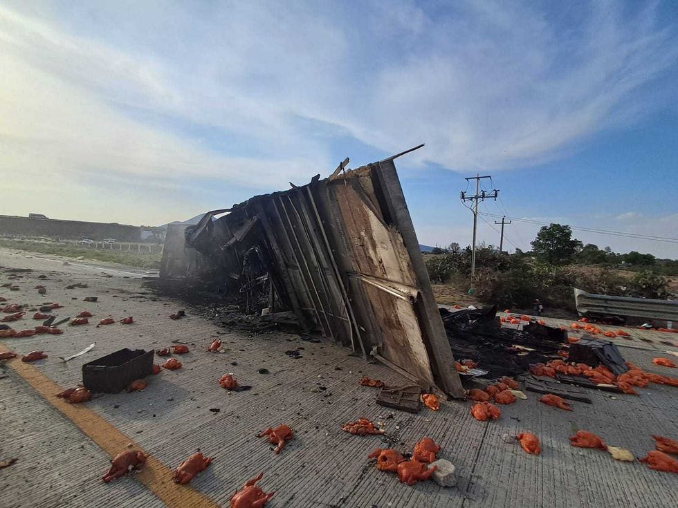 Tr\u00e1iler con pollo congelado calcinado tras provocar accidente en el km 17 del macrolibramiento Palmillas-Apaseo Amealco