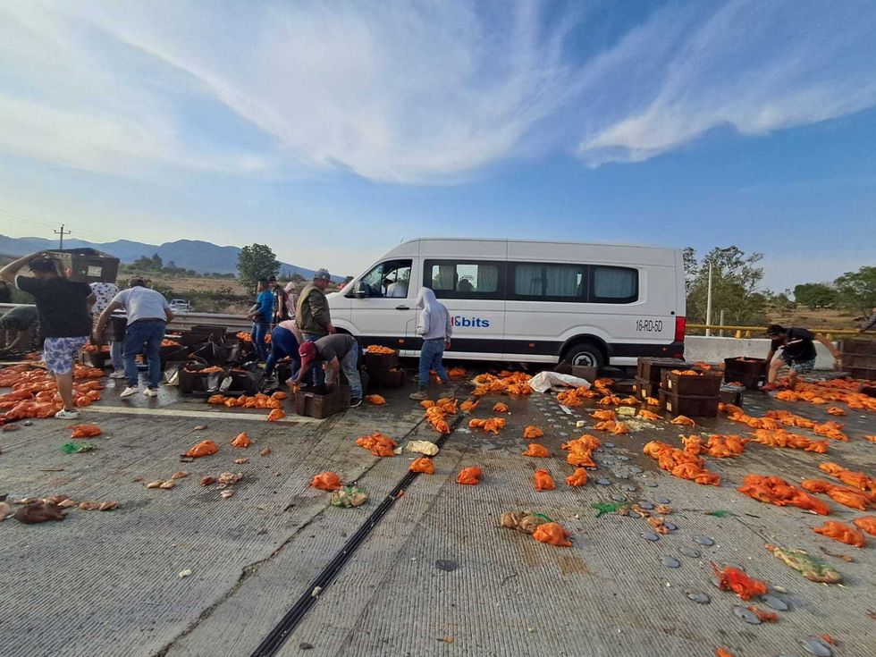 Tr\u00e1iler con pollo congelado calcinado tras provocar accidente en el km 17 del macrolibramiento Palmillas-Apaseo Amealco