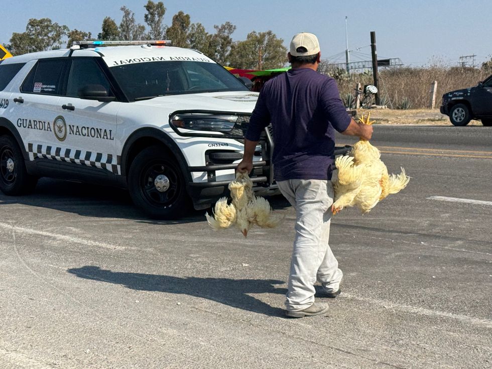 Tr\u00e1iler tipo plataforma volcado con jaulas de pollo en distribuidor vial de la carretera federal 45 rumbo a autopista M\u00e9xico-Quer\u00e9taro
