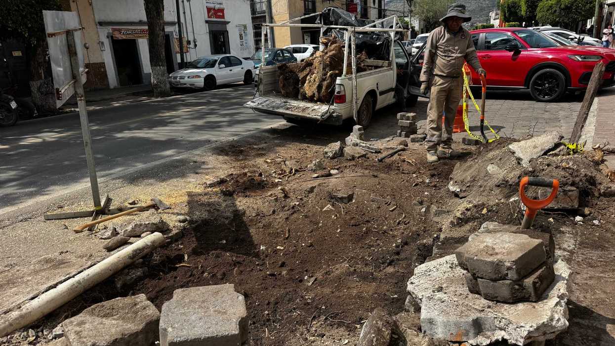 Trabajador municipal con pala junto a camioneta cargada de tocones y adoquines apilados en Avenida Juárez, San Juan del Río