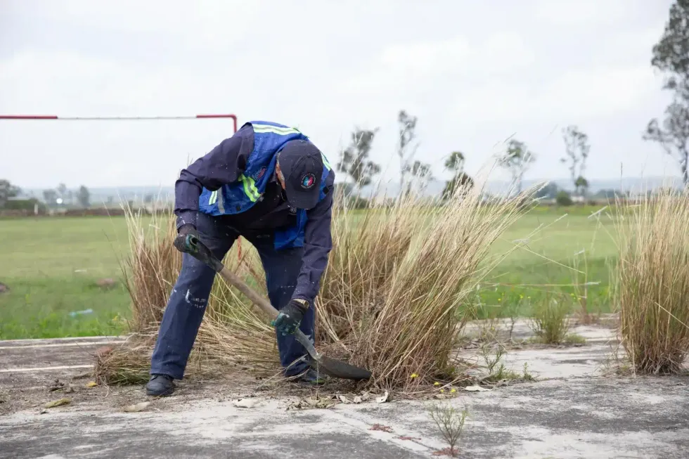 Trabajador retira maleza durante labores de limpieza en espacio p\u00fablico