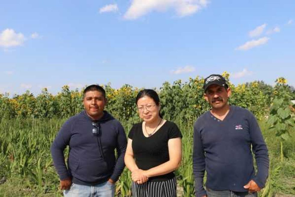 trabajo duro honesto jornaleros mexicanos en canada 2
