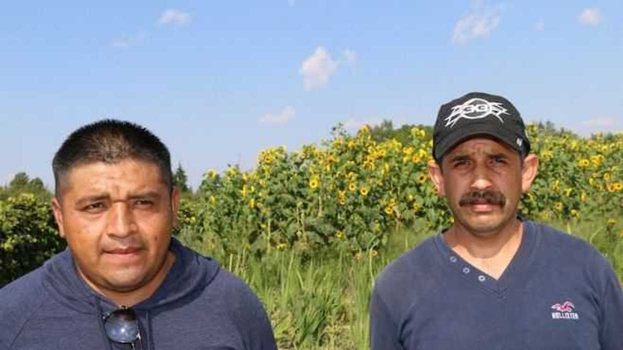 trabajo-duro-honesto-jornaleros-mexicanos-en-canada.jpg