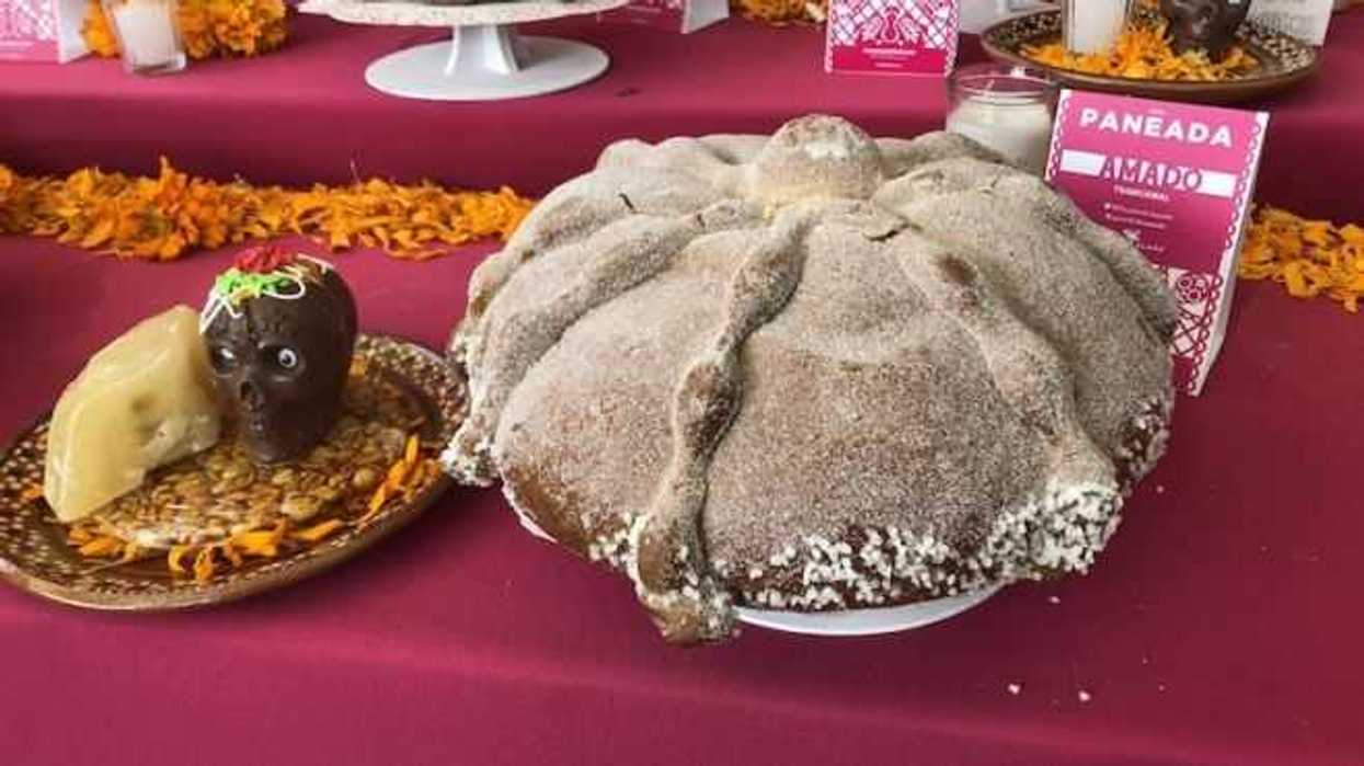 Tradicional Pan de Muerto protagoniza Paneada