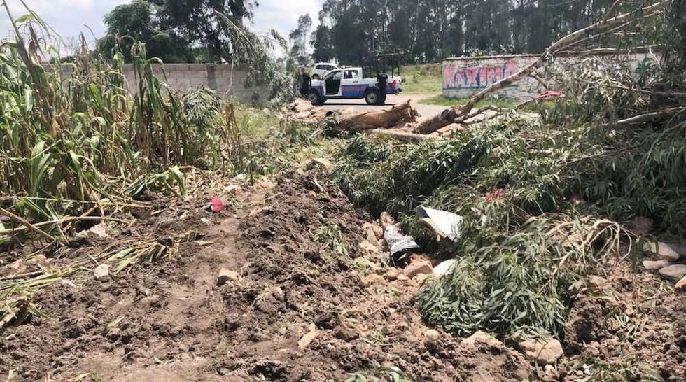 trailer arrasa con vivienda en santa barbara la cueva en san juan del rio 1 5