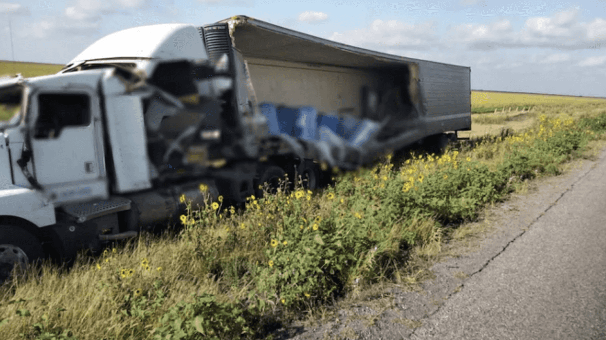 trailer-perros-gatos-muertos